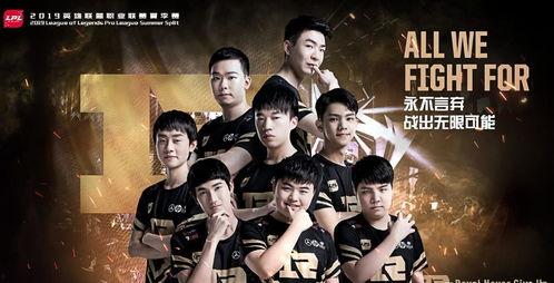 男团老大爆料视频大全,视频大全背后的故事与真相